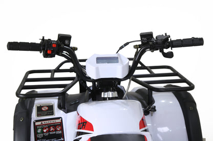 Bull 200s Adult ATV