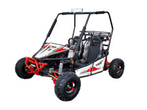 Triton 125cc kids Go Cart